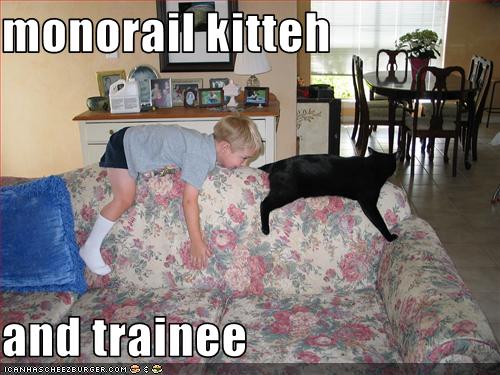 monorail cat gif. “Mah great grandfathers werz